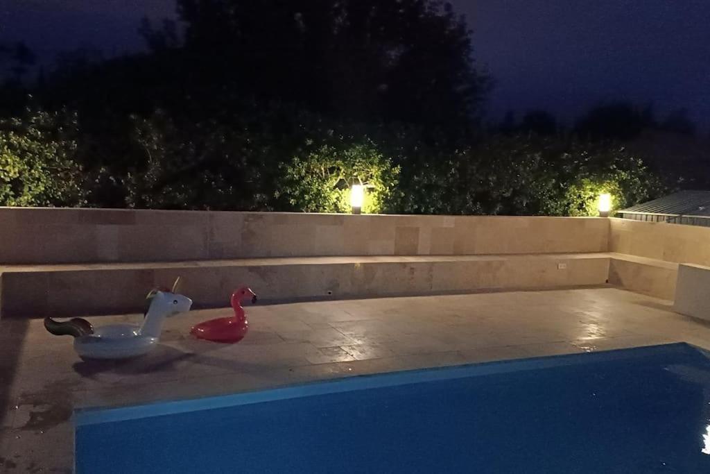 Charmant Studio Avec Piscine Villemoustaussou Εξωτερικό φωτογραφία